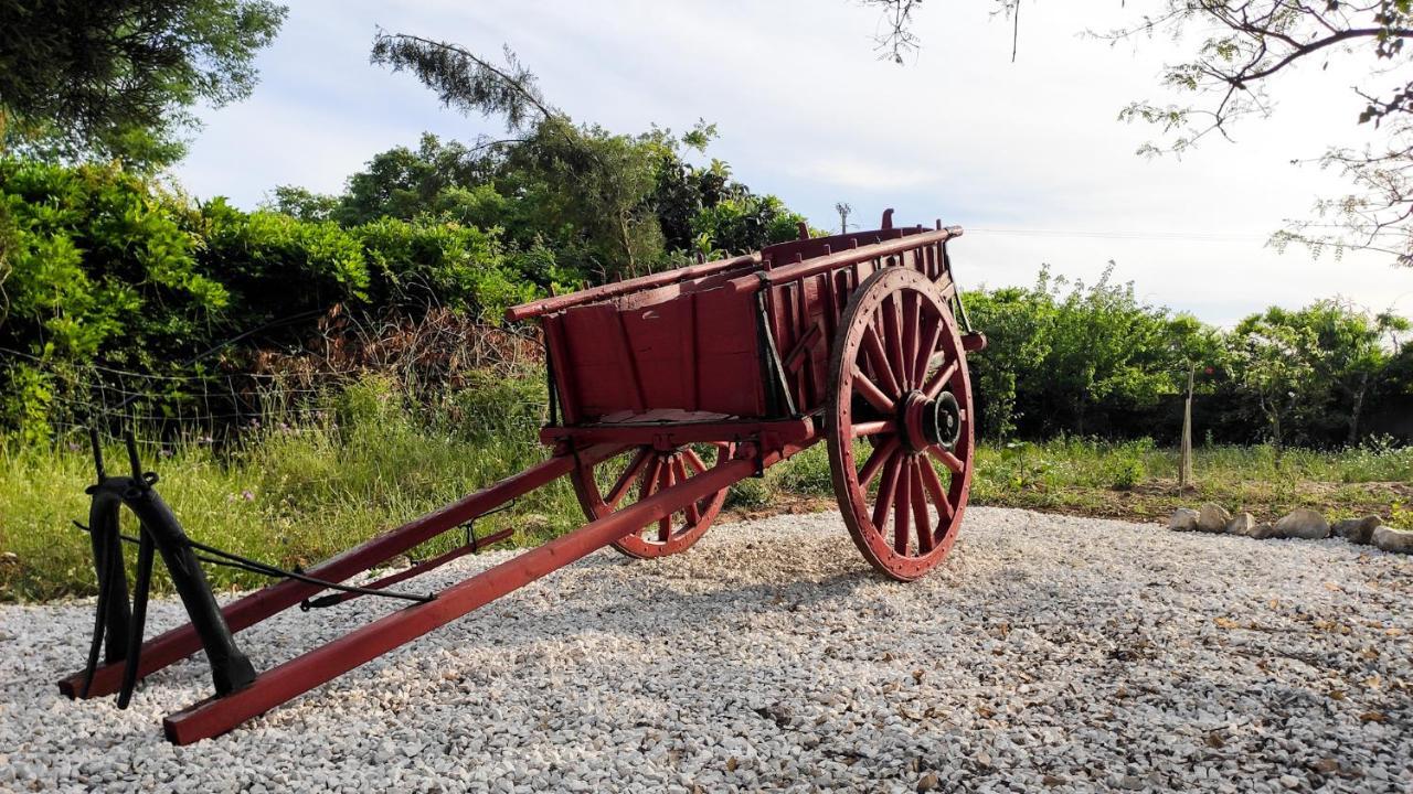 Sao Cristovao Farmhouse Setúbal Extérieur photo