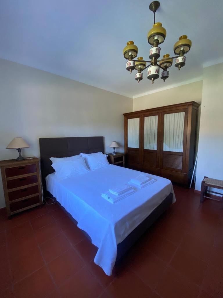 Sao Cristovao Farmhouse Setúbal Extérieur photo